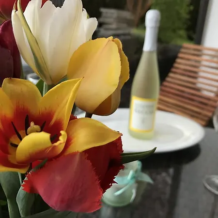 Lejlighed Seeperle Uhldingen-Mühlhofen
